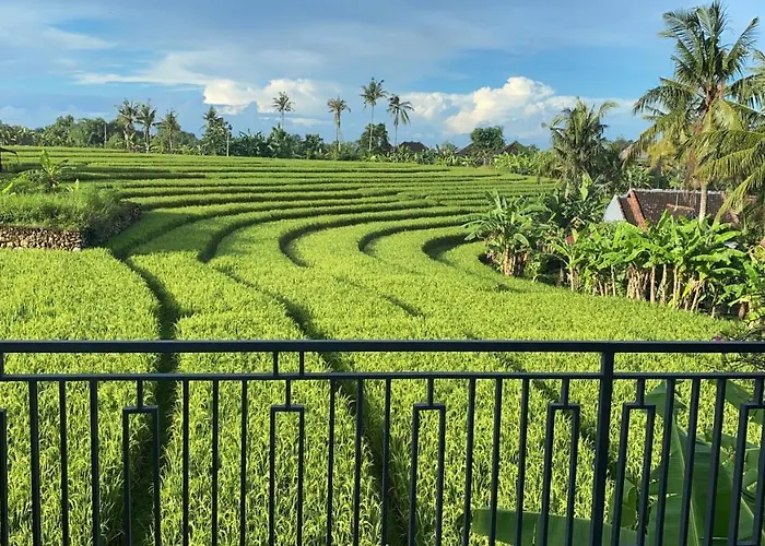 Guest house - Pererenan " Abalihouse " Canggu (Bali)