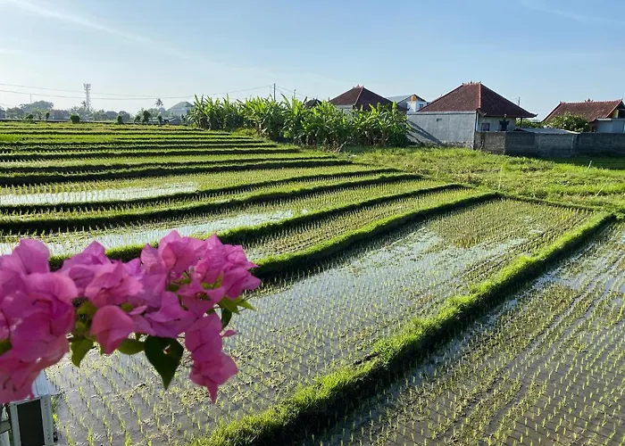 - Pererenan " Abalihouse " Guest house Canggu (Bali)