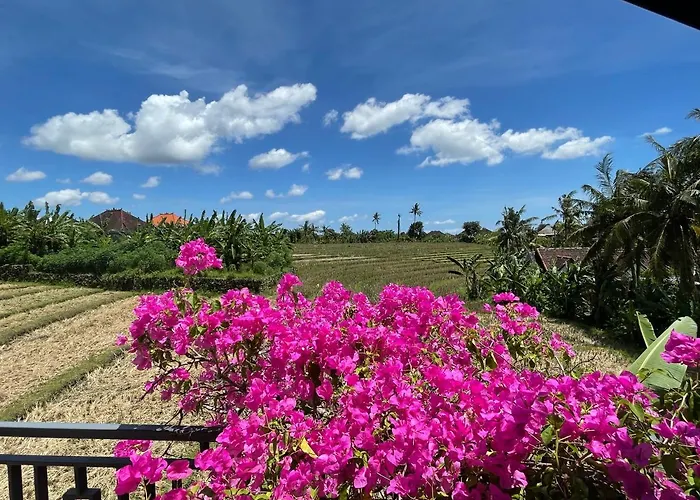 - Pererenan " Abalihouse " 2* Canggu (Bali)