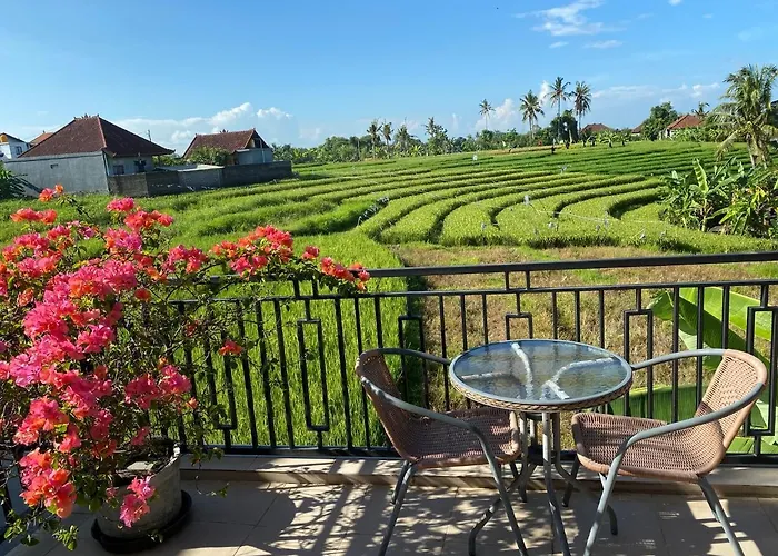 Guest house - Pererenan " Abalihouse " Canggu (Bali)